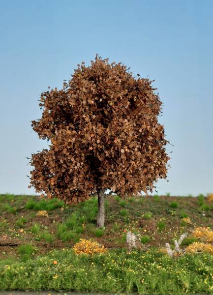 Kastanie Profiline Spätherbst H0/TT/N/Z